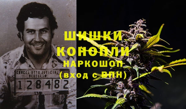 дживик Абинск