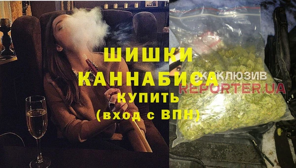 шишки Алексин