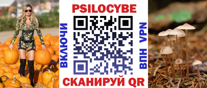 Псилоцибиновые грибы Psilocybine cubensis  Кизилюрт 