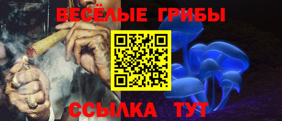 Галлюциногенные грибы MAGIC MUSHROOMS Кизилюрт