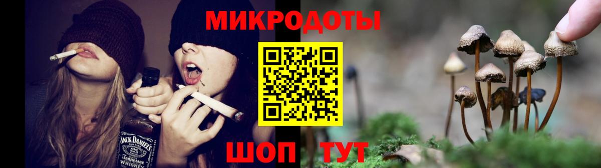 Кизилюрт  Галлюциногенные грибы мицелий  Вход с VPN  Галлюциногенные грибы ЛСД 